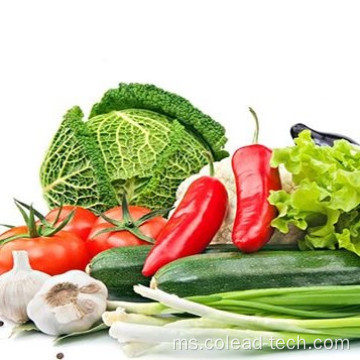 Mesin pensterilan ozon mencuci buah sayur -sayuran